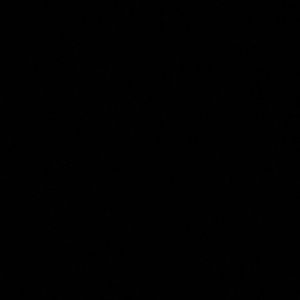 Meet your Posher, Tamara